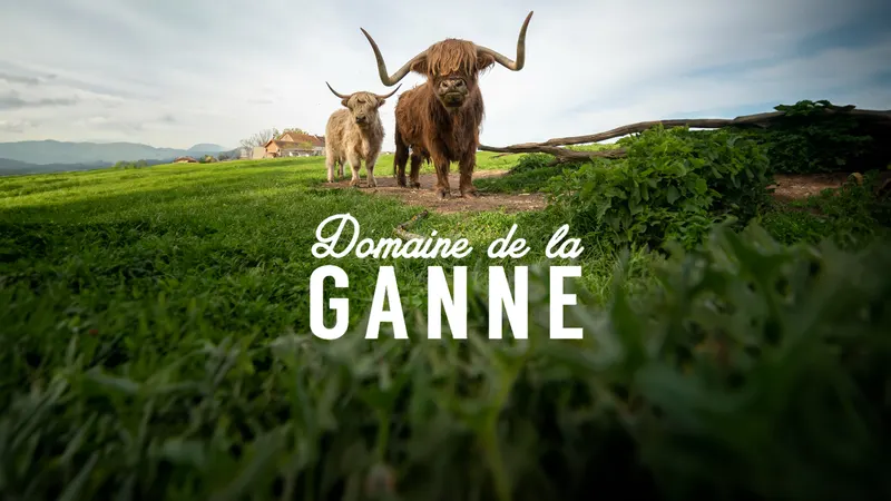 Domaine de la Ganne